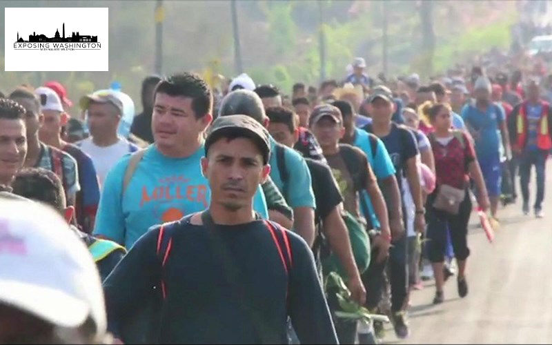 BREAKING: Every Member Of The “Caravan” Is A Criminal