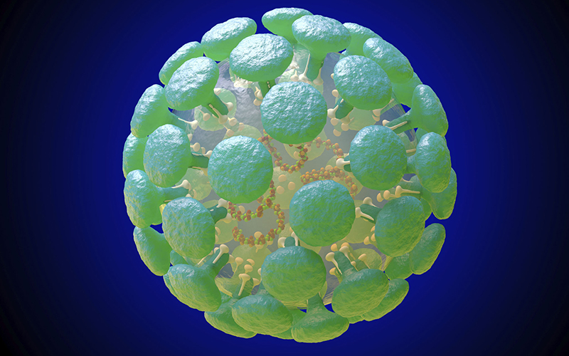 Seasonal Flu and The Coronavirus