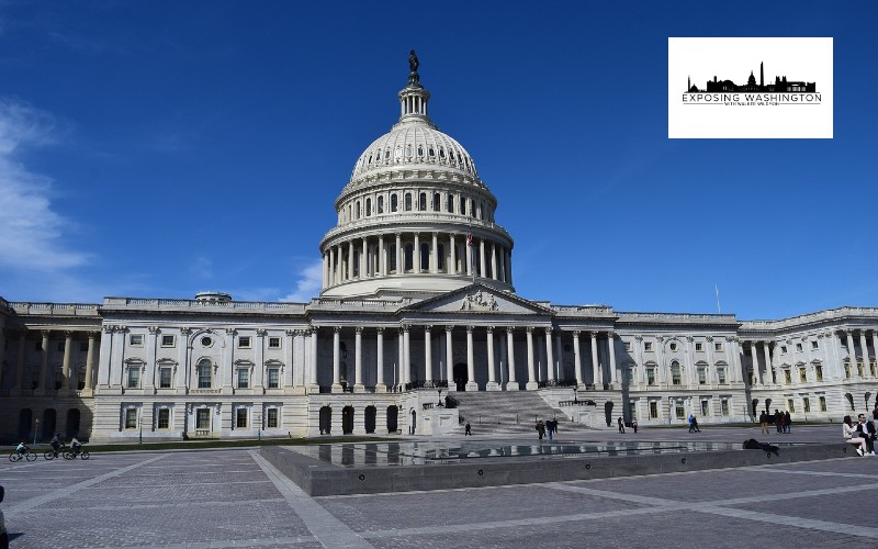 Congress Is MIA While Millions of Americans Are Loosing Their Jobs