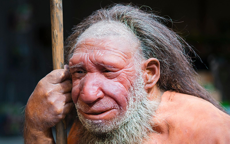 Joe Biden Calls The Governors Of Texas And Mississippi Neanderthals